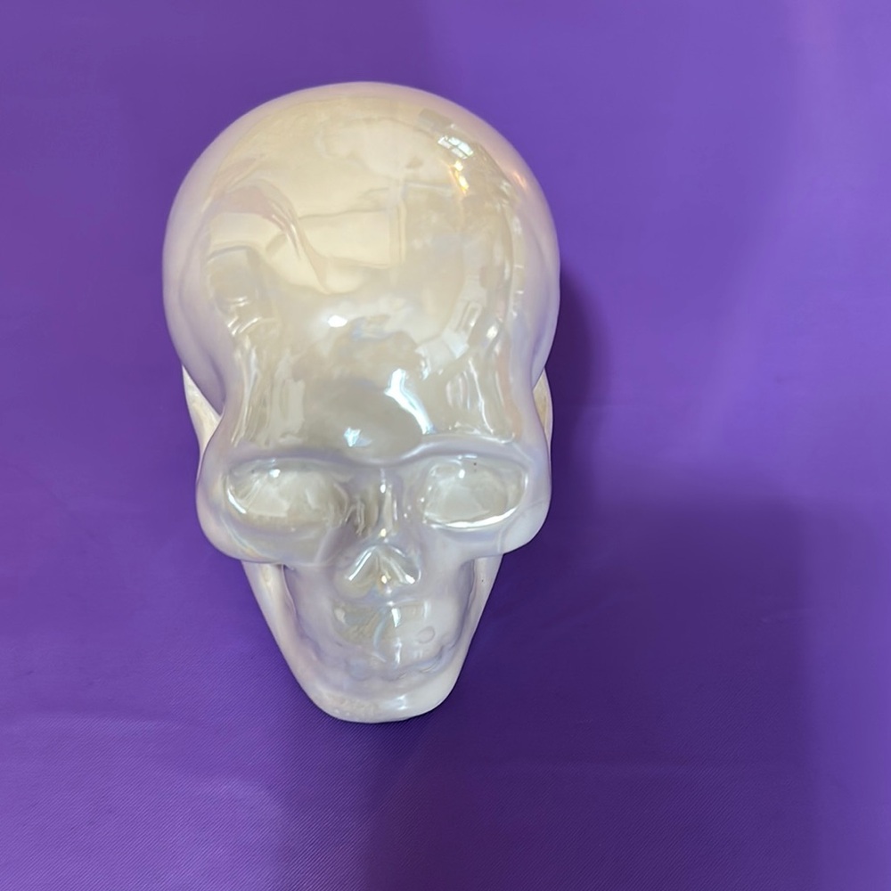 Ceramic Skull Art Decor - White